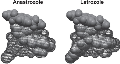 Figure 2 Binding of nonsteroidal aromatase inhibitors anastrozole and letrozole. Computer-assisted molecular modeling displaying the active site fit and heme group binding in the aromatase enzyme. Whereas the distal portion of the letrozole molecule fits tightly and occupies the entire binding site, the same is not true for anastrozole.Citation4,Citation37 Reprinted with permission from Mouridsen HT, Bhatnagar AS. Letrozole in the treatment of breast cancer. Expert Opin Pharmacother. 2005;6:1389–1399.Citation4 Copyright © 2005, Ashley Publications Ltd.