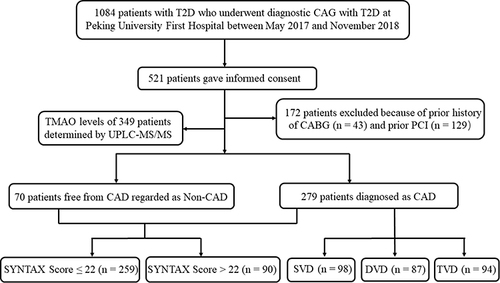 Figure 1 Flowchart of coronary atherosclerosis screening and quantification in T2D patients.