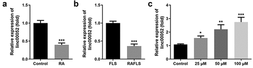 Figure 3. Expression of linc00052 is decreased in RA. (a) Relative expression levels of linc00052 are decreased in RA mice. (b) Expression levels of linc00052 are decreased in RAFLS cells. (c) Linc00052 levels were increased in RAFLS cells by curcumin treatment. *P < 0.05, **P < 0.01, ***P < 0.01 vs. Control. RAFLS, rheumatoid arthritis fibroblast-like synovial.