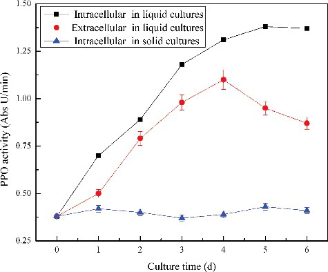 Figure 3. Effect of suspension culture on intracellular and extracellular PPO activity.