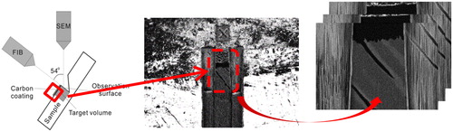 Figure 1. FIB-SEM “slice and view” principle.