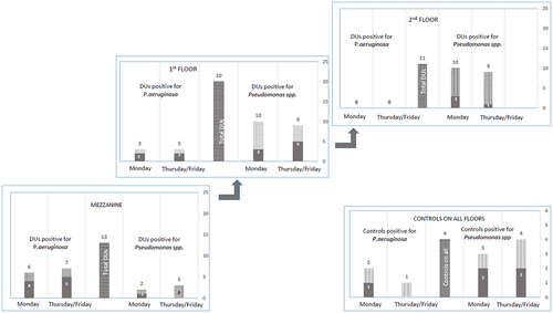 Figure 2. Number of DUs positive for P. aeruginosa and Pseudomonas spp. for both samples at each floor in light gray. In dark gray, number of DUs contaminated by antibiotic resistant strains. In the center column the total number of DU’s analyzed on each floor. The same synthesis for the control.