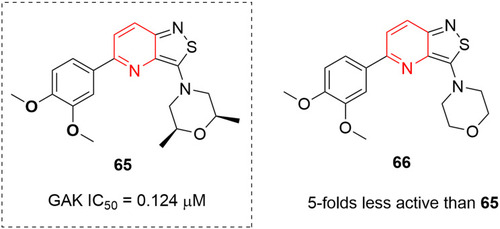 Figure 34 Antiviral compounds with high GAK-binding affinity.