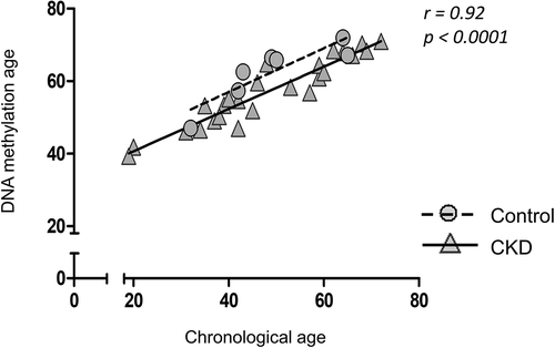 Figure 4. DNA methylation age and chronological age are strongly correlated. CKD: chronic kidney disease subjects, Control: healthy donors, r: Spearman correlation coefficient. Chronological age is presented in years
