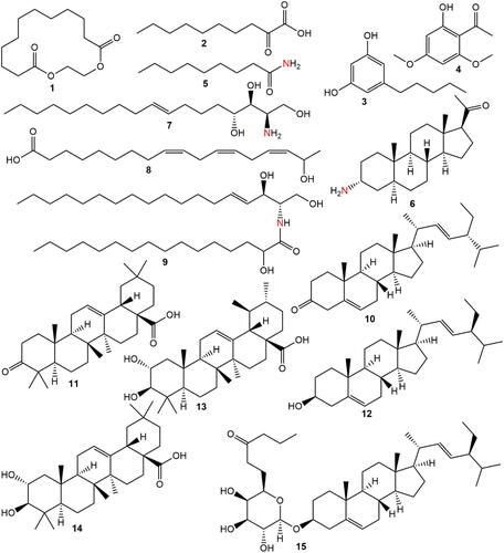 Figure 6 Phytochemicals identified in the n-hexane fraction of A. boonei.