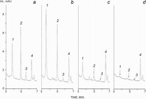 Figure 4. Chromatograms of reduced plasma thiols. Thiols are numbered: 1, cysteine (Cys); 2, glutathione (GSH); 3, homocysteine (Hcy); and 4, penicillamine (PA). The retention times were: 3.55 (Cys), 5.0 (GSH), 5.74 (Hcy) and 6.5 minutes (PA). (a) Model solution (Cys and GSH, 6.5 µmol/l; Hcy, 1.25 µmol/l; and PA; 2.5 µmol/l); (b) control rat blood plasma (Cys, 9.5 µmol/l; GSH, 5.4 µmol/l; Hcy, 0.33 µmol/l); (c) plasma after BCAO (Cys, 1.8 µmol/l; GSH, 0.94 µmol/l; Hcy, 0.1 µmol/l); (d) plasma after MCAO (Cys, 0.35 µmol/l; GSH, 0.12 µmol/l; Hcy, 0.05 µmol/l).