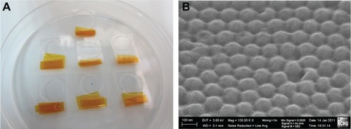 Figure 3 Images of a polycarbonate nanohemisphere array created using hot-embossing; (A) real products; (B) Scanning electron microscopic image.