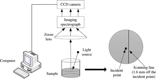 Figure 2. Acquisition of hyperspectral images for liquid phantoms.