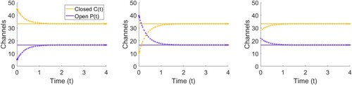 Figure 3. Plot of the numerical solution to (Equation1(1) dCdt=−k1C+k2P,(1) –Equation2(2) dPdt=k1C−k2P.(2) ) against the equilibrium number of closed C∗ and open P∗ ion channels given in (Equation5(5) C∗=k2k1(N−C∗),⇒C∗+k2k1C∗=k2k1N,⇒C∗(1+k2k1)=k2k1N,⇒C∗(k1+k2k1)=k2k1N,⇒C∗=k2k1+k2N.(5) –Equation6(6) ⇒P∗=k1k1+k2N.(6) ). The solution to the differential equation is given as a starred line and the steady state value as a straight line. We fixed k1=1,k2=2 and N = 50 and solved for (left) C0=45, P0=5, (middle) C0=10,P0=40 and (right) C0=28, P0=22.