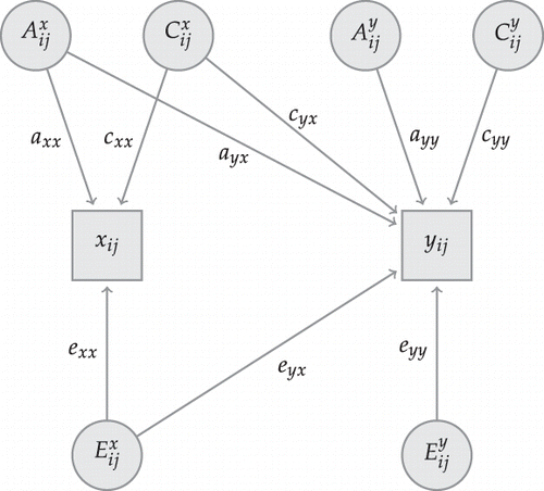 Figure 3. Bivariate ACE model for schooling and fertility.