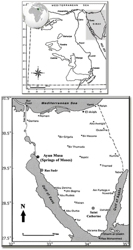 Map 1. Location of the sampling site in the Sinai Peninsula in Egypt.