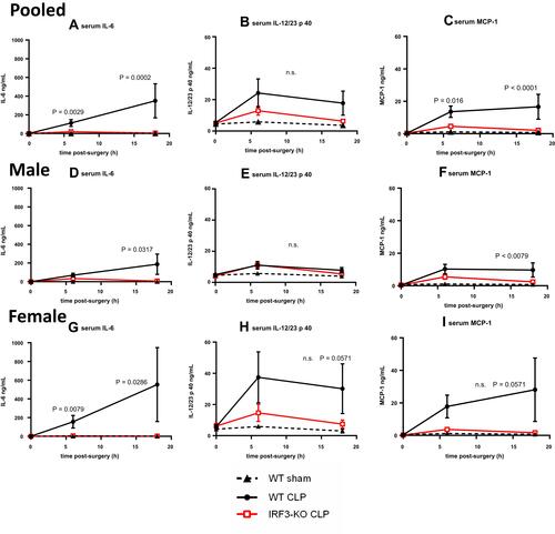 Figure 2 The cytokine response was attenuated in aged IRF3-KO septic mice. Aged WT and IRF3-KO mice were subject to CLP to induce sepsis, and a second group of aged WT mice were subject to sham surgery as a control. Graphs show pooled male and female data (n=10/group CLP, n=5/group sham) for (A) serum IL-6, (B) serum IL-12/23p40, (C) serum MCP-1. This cohort was split into male and female subgroups to show the impact of biological sex. Graphs show data for the male mice (n=5/group CLP, n=3/group sham), including: (D) serum IL-6, (E) serum IL-12/23p40, (F) serum MCP-1 and the female mice, (n=5/group CLP, n=2/group sham), including: (G) serum IL-6, (H) serum IL-12/23p40, and (I) serum MCP-1. P values show the results of Mann Whitney tests comparing the WT and IRF3-KO CLP groups at 6h and 18h.