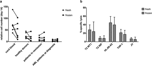 Figure 6. Cryopreservation has a negligible effect on maturation kinetics and the functionality of in vitro generated TA-specific T-cells. (a) Relative cell numbers at day 14 of co-cultures (day at which cord blood progenitors were transduced) from fresh and cryopreserved (frozen) HSPC from cord blood (n = 6), healthy donors (n = 6), patients in remission after chemotherapy (n = 7) and AML patients at diagnosis (n = 6). Individual fresh and paired frozen samples are shown. (b) Percentage specific lysis determined via 4-h 51chromium release assay after co-culture of T-cells with T2 cells pulsed with relevant WT1 or irrelevant influenza (INF) peptide (10 µg/ml), HL-60-A2 (HLA-A2+ WT1+), THP-1 (HLA-A2+ WT1+) or JY (HLA-A2+ WT1−) cells. Effector/target ratio 5/1. T-cells generated from fresh and cryopreserved (frozen) HSPC (n = 11). Results from different sample groups (healthy donors, patients in remission and AML patients at diagnosis) were pooled. Mean and s.d. are shown. Wilcoxon matched-pairs signed-rank test was used to assess statistical significance. Differences were not significant