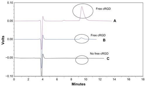 Figure 3 High-performance liquid chromatography of cRGD coupling with the liposomes. (A) Free cRGD (500 μg/mL) eluted with a retention time of approximately 10 minutes. (B) Excess free cRGD after coupling with the liposomes gave the peak for free cRGD. (C) The liposome sample following the coupling step showed no significant peak for free cRGD at around 10 minutes.Abbreviations: DXR, doxorubicin; cRGD, cyclo(Arg-Gly-Asp-D-Phe-Cys).