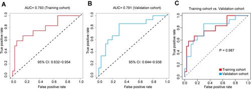 Figure 3 Evaluation of the accuracy of the chemotherapy efficacy prediction nomogram. (A) ROC is used to evaluate the predictive power of the chemotherapy efficacy prediction nomogram. The AUC in the training cohort is 0.793 (95% CI: 0.632, 0.954). (B) The AUC in the validation cohort is 0.791 (95% CI: 0.644, 0.938). (C) ROC results of the training cohort and the validation cohort were compared.