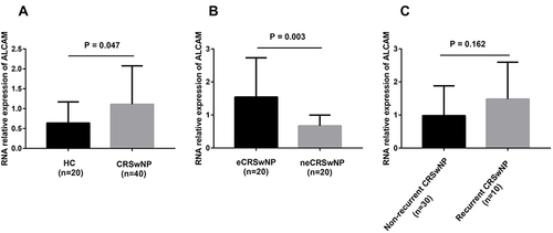 Figure 5 Comparison of ALCAM mRNA levels in the tissue of CRSwNP patients and HCs. (A) ALCAM mRNA expressions were elevated in the CRSwNP group than the HC group. (B) ALCAM mRNA levels were significantly increased in the eCRSwNP group than the neCRSwNP group. (C) no significant difference was observed in mRNA levels between the non-recurrent CRSwNP group and the recurrent CRSwNP group.