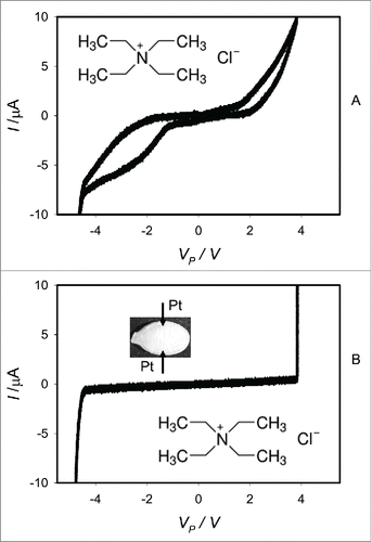 Figure 8. Electrical current I versus voltage VP applied to a imbibed Cucurbita pepo L., cv. Cinderella seeds. Frequency of bipolar sinusoidal voltage scanning was 1 mHz. 10 μL of 0.3 M TEACl was injected by a syringe to a seed (A) 15 min and (B) 3 hours before measurements. Position of platinum electrodes inserted in a seed through its coat is shown.