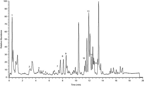 Figure 4. Total ion chromatography (TIC) of MEMC obtained using the UHPLC instrument in negative ion mode.