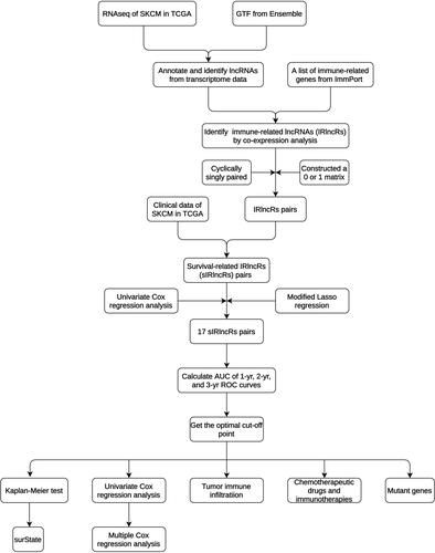 Figure 1 The process flow of this study.