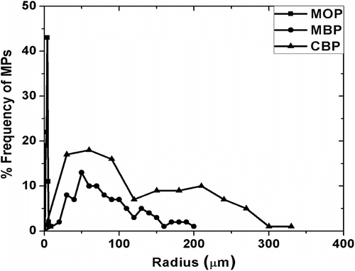 Figure 3 Particle size distribution of the MPs.