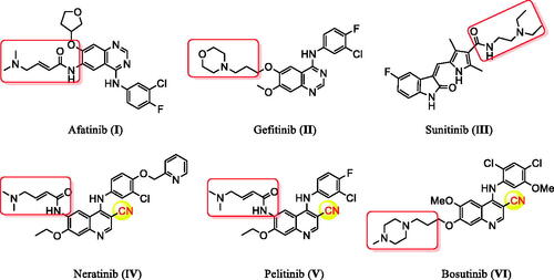 Figure 1. The reported anti-tumour agents with inhibitory activity against EGFR.