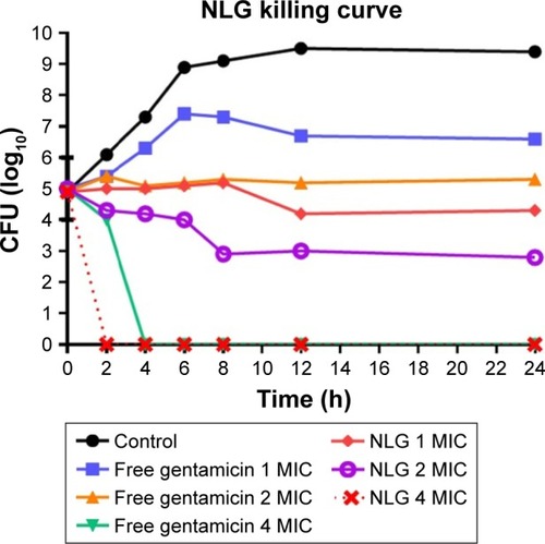 Figure 7 Killing curve of bacterial strain Klebsiella oxytoca 700324 exposed to 0.5, 1, and 2 mg/L of NLG and 1, 2, and 4 mg/L of free gentamicin.Abbreviations: CFU, colony forming unit; MIC, minimum inhibitory concentration; NLG, dipalmitoyl-sn-glycero-3-phosphocholine and cholesterol.