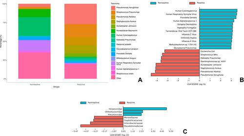 Figure 2 Profile of microbiota for patients with reactive or nonreactive phenotype. (A) Abundance of strains in BALF samples of patients with reactive or nonreactive phenotype. (B) Microbial strains associated with phenotypes as identified by LDA. (C) Microbial families associated with phenotypes as identified by LDA.