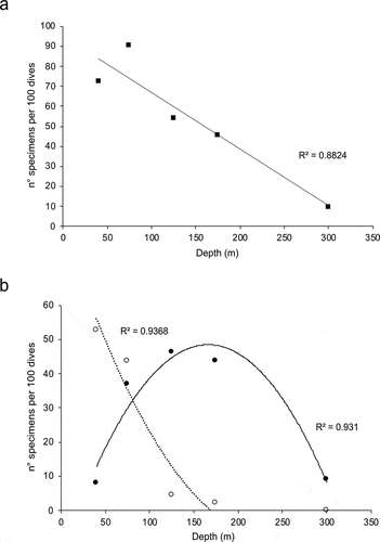 Figure 4. Correlation of (a) the number of heterobranch specimens (normalised on 100 dives) with depth, and (b) the number of specimens (normalised on 100 dives) of Doridina (empty circles) and Cladobranchia (filled circles) with depth.