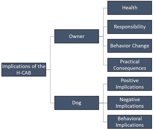 Figure 1. Schematic representation of subthemes relating to the overarching theme of “Implications of the H-CAB”.