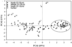 FIG. 5 Principal component analysis of sediment samples.