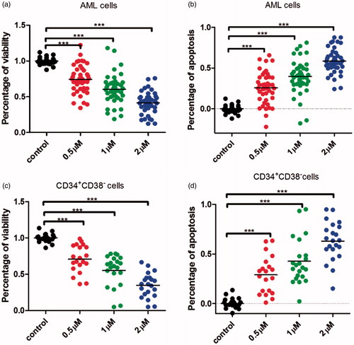 Figure 7. Compound 7l induced the apoptosis of primary leukaemia cells and CD34+CD38– cells from AML patients. (a) Compound 7l reduced the percentage of viability with a dose-dependent manner in primary AML cells after being treated for 24 h. (b) Compound 7l induced apoptosis with a dose-dependent manner in primary AML cells after being treated for 24 h. (c) Compound 7l reduced the percentage of viability with a dose-dependent manner in primary AML CD34+CD38– cells after being treated for 24 h. (d) Compound 7l induced apoptosis with a dose-dependent manner in primary AML CD34+CD38– cells after being treated for 24 h. ***p < 0.001.