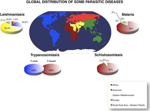 Fig. 1.  Endemic geographical distribution of some human parasitic diseases. The map shows 5 different areas of the world according to WHO: Americas, Africa, Europe, Eastern Mediterranean and South-East Asia Western Pacific. The percentages represent the distribution of autochthonous endemic cases (Citation133).