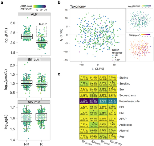 Figure 1. Dynamic response to UDCA treatment varies across patients. a) Box-and-whisker plots of serum markers in non-responders (NR; n = 191) and responders (R; n = 228) according to the Barcelona criteria and indicating the newly identified subgroup of responders with bad prognosis (R_BP; n = 16) with a dashed square. b) PCA scores of clr-transformed ASV abundances (n = 380). c) PERMANOVA variation (R2) percentage attributed to each factor, with corresponding Benjamini-Hochberg adjusted P-value (Padj) indicated within each cell. n = 380 taxonomy; 366 serum; 362 feces; 400 urine. ALP: alkaline phosphatase; APAP: acetaminophen (paracetamol); BA: bile acid; PPI: proton pump inhibitor; UDCA: ursodeoxycholic acid.