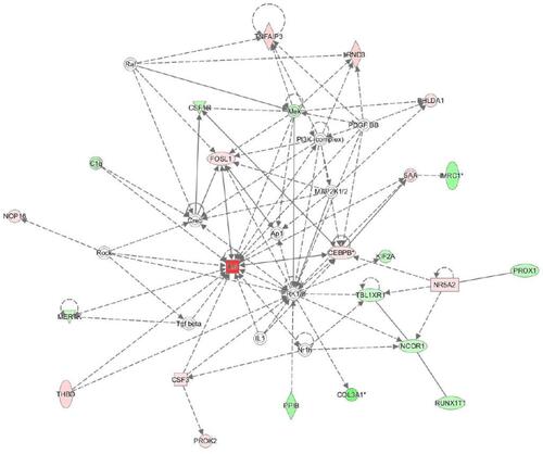 Figure 4 Interactions between differentially expressed genes found by Ingenuity Pathway Analysis, forming the network involved in atherosclerosis progression. The upregulated and downregulated genes are marked red and green, respectively. Grey arrows indicate the direction of regulation.