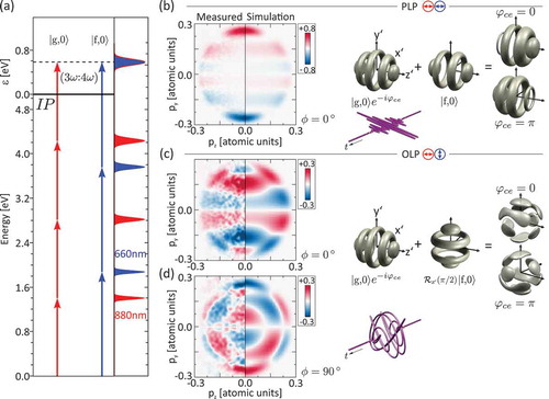 Figure 9. (a) Excitation scheme for CEP-sensitive photoelectron wave packets created by perturbative MPI of Na atoms with (3ω:4ω) PLP and OLP fields. (b) Control of the directional photoemission by bichromatic PLP laser fields. (c)–(d) OLP fields lead to a superposition of states with opposite parity and orthogonal symmetry axis. In both cases, the driving fields are sketched in the insets, along with simulated 3D photoelectron wave packets. The measured CEP-dependent asymmetry contrasts A(p,θ) (left) are compared to simulations (right).