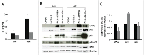 Figure 2. Nutlin-3 induced p53 downregulated cMyc expression in activated T cells. (A) 105 T cells were activated with PHA (1 µg/ml) and cultured without and with nutlin-3 (5 µM). Activated T cells were pulsed with 3H-thymidine at the indicated time point for 16 h (black bars - activated T cells cultured with the solvent control DMSO; gray bars – activated T cells cultured with nutlin-3). (B) cMyc, p53, p21 and p14ARF were detected at the indicated time points in T cells cultured with and without PHA (1 µg/ml) and with and without nutlin-3 (5 µM). (C) mRNA expression of cMyc, p21 and p53 measured by real time RT-PCR in T cells activated with PHA for 24 h and treated with or without nutlin-3 (5 µM) for the last 8 h (black bars - activated T cells cultured with the solvent control DMSO; gray bars - activated T cells cultured with nutlin-3). Values represent average of 3 experiments with SD.