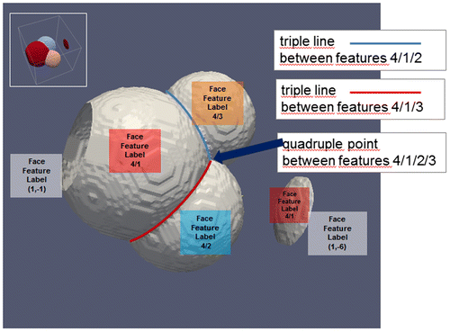 Figure 16. FaceFeatureLabels for the different Features of the example. Feature 4 (Liquid Phase) is not shown. Note the negative FeatureIDs representing Features outside the RVE boundaries.