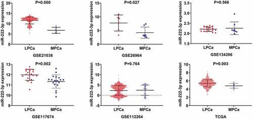 Figure 1. TCGA: The Cancer Genome Atlas; LPCa: localized prostate cancer; MPCa: metastatic prostate cancer