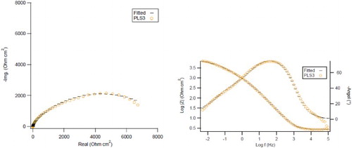 Figure 8. Nyquist plot (left column) and impedance Bode phase plot (right column) with the fitted curves for C1010 steel immersed in NaCl solution containing 3 vol.% PLS after 16 days.