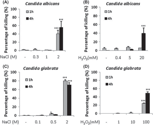 Fig. 2 Dose-dependent killing of Candida albicans and Candida glabrata cells grown in YPDT at 30°C by osmotic and oxidative stresses. Killing was quantified by propidium iodide staining and FACS analysis: blue bars, cell death after 1 h dose of stress; red bars, cell death after 4 h dose of stress. (A) Impact of low, medium and high doses of NaCl upon C. albicans viability. (B) Effects of H2O2 upon C. albicans viability. (C) Influence of NaCl upon C. glabrata viability. (D) Impact of H2O2 upon C. glabrata viability. Values were compared to the no stress controls and significant increases highlighted: *P ≤ 0.05; **P ≤ 0.01; ***P ≤ 0.001.