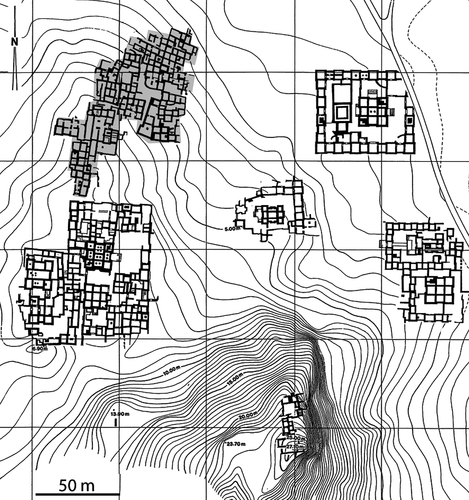 Figure 1. Map of the town of Matara (Eritrea) showing elite compounds and a low-class neighbourhood (shaded). The latter shows a different orientation, no orthogonal layouts and lack of modules. After Anfray (Citation2012) with modifications.