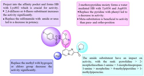 Figure 3. SAR of compound 35 represented in diagram.