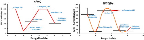 Figure 6. The MIC values (µg/ml) of N/CQDs and N/MC on Sorbitol media against both different fungal isolates (mean ± SE).