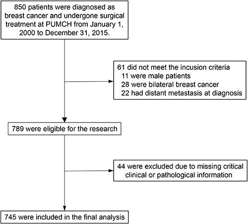 Figure 1 The flowchart.