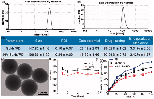 Figure 1. Size distribution of SLNs/PD (A) and HA-SLNs/PD (B) based on dynamic light scattering. (C) Encapsulation efficiency and drug loading yield of SLNs/PD and HA-SLNs/PD (n = 3). (D) Transmission electron micrographs of HA-SLNs/PD. Bar, 100 nm. (E) In vitro stability of HA-SLNs/PD at 4 °C or 37 °C (n = 3). (F) In vitro cumulative PD release profiles of free PD, SLNs/PD and HA-SLNs/PD at 37 °C in PBS (pH 7.4) (n = 5).