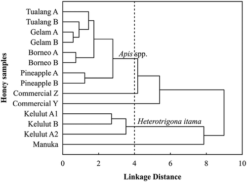 Figure 2. Dendrogram of hierarchical cluster analysis based on physicochemical and antioxidant properties of various honey samples. The codes of A and B of raw honeys indicate the samples from different batches.