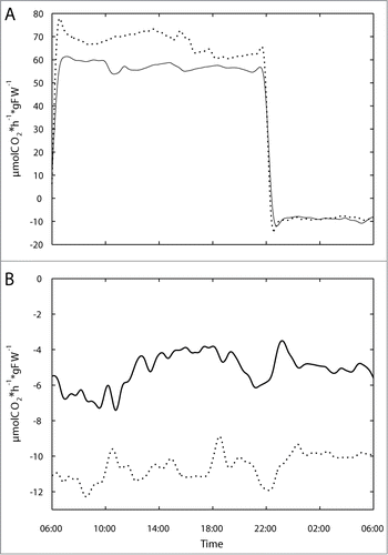 Figure 3. CO2 uptake rate per hour. Profiles of shoot NPS and respiration (A) and root respiration (B) over full diurnal cycles. Shoot and root gas exchange are based on plant fresh weight; positive values denote CO2 uptake: WT, solid lines; gin2–1, dotted lines. Results represent means (n = 5).