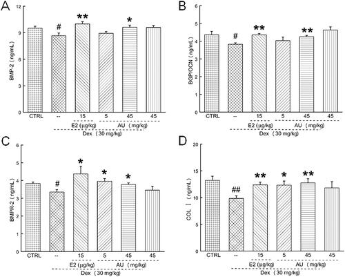 Figure 5. AU increased the concentration of osteogenic differentiation-related factors in the serum of osteoporosis mice. Thus, AU enhanced the serum concentrations of (A) BMP-2, (B) BGP, (C) BMPR-2 and (D) COL I. Data are expressed as the means ± SEMs (n = 6) and were analysed using a one-way ANOVA. #p < 0.05 and ##p < 0.01 versus control mice; *p < 0.05 and **p < 0.01 versus OP mice. CTRL: control; Dex: dexamethasone; E2: oestradiol; AU: aucubin.