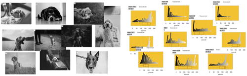 Fig. 5 Ten different grayscale photos and 10 different plots constructed using a random sample of 500 pixels.