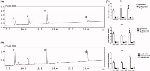 Figure 5. Gas chromatography comparisons between SCFA standards (A) and faecal samples (B) a = acetic acid, b = propionic acid, c = butyric acid, d = 2-ethyl butyric acid. SCFA data at 0, 6 and 10 weeks for faecal samples from mice after FMT-KNGT treatment (C). Data were analyzed using one-way ANOVA. *p < 0.05, **p < 0.01 compared to db/db + PBS mice.